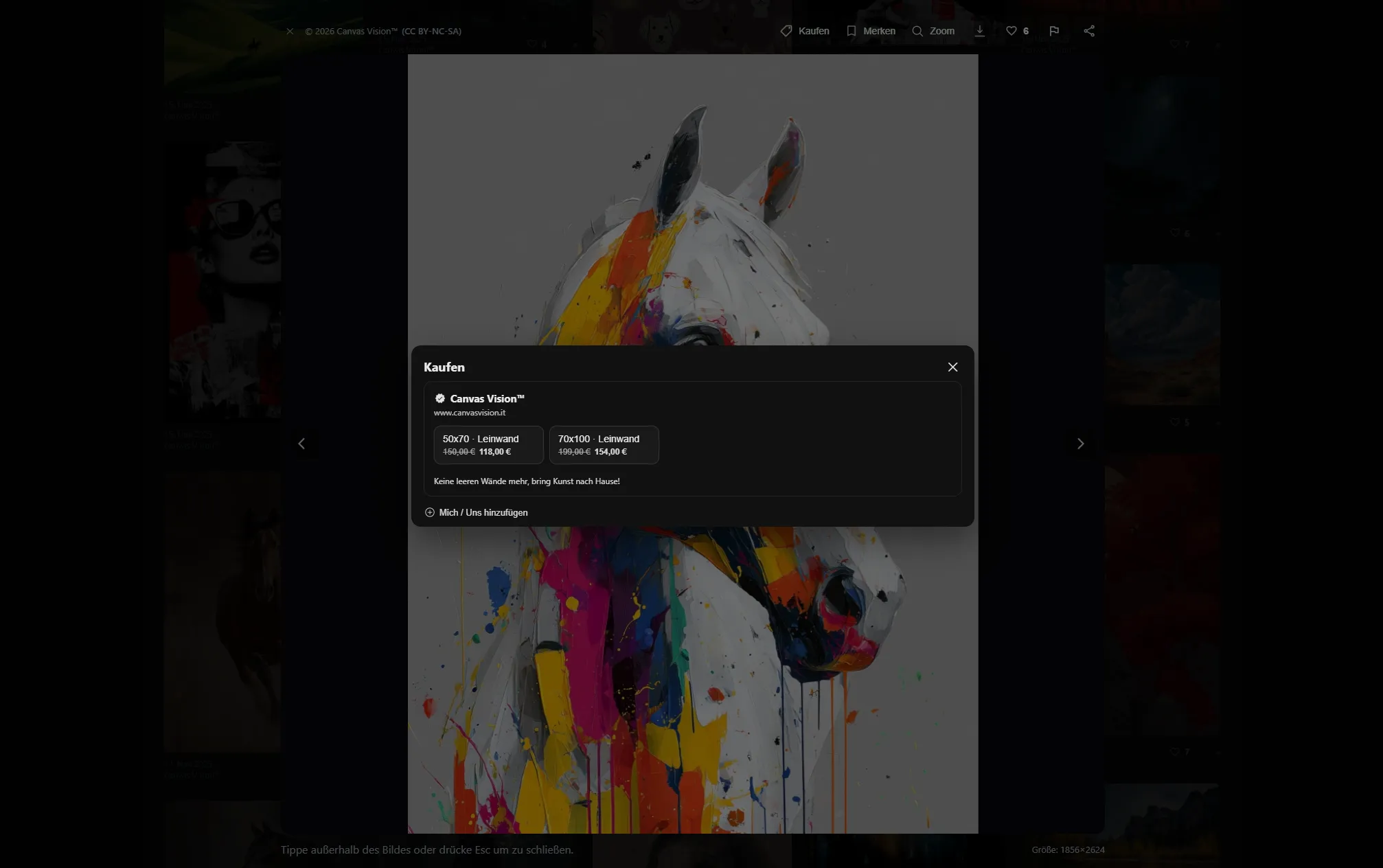 Canvas Vision™ (Community) – Fotos 3